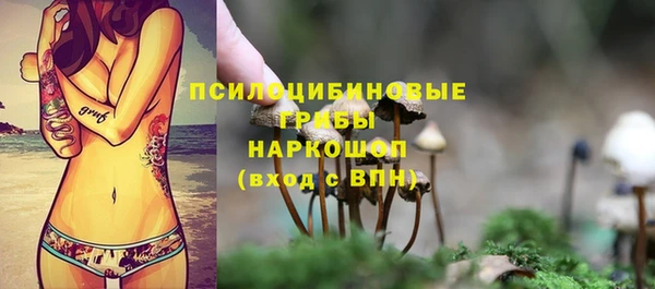 ГАЛЛЮЦИНОГЕННЫЕ ГРИБЫ Армянск